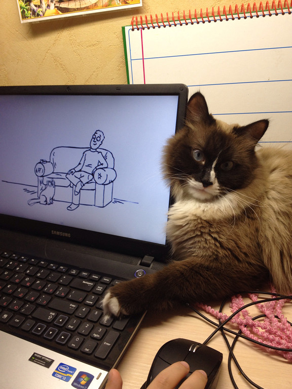Котовторник  01.03.2016