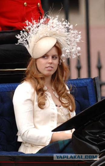 Королева-мать в недоумении.   Для русских - ничего нового.