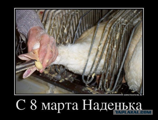 Савченко продемонстрировала судьям средний палец