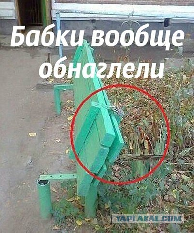 Картинки из сети, подборка