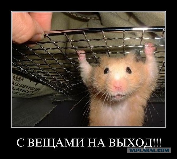 Ученые призвали ВОЗ воздержаться от жесткого контроля электронных сигарет