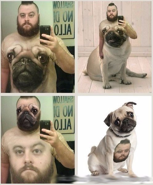 Ужасы и приколы из соцсетей 18+