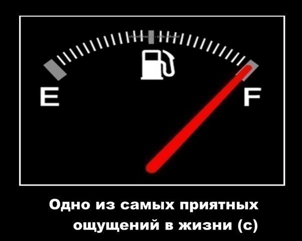 Подборка интересных и веселых картинок