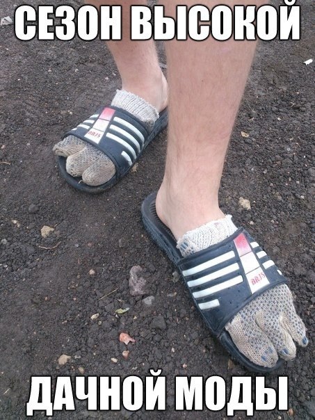 Подборка смешных картинок с надписями