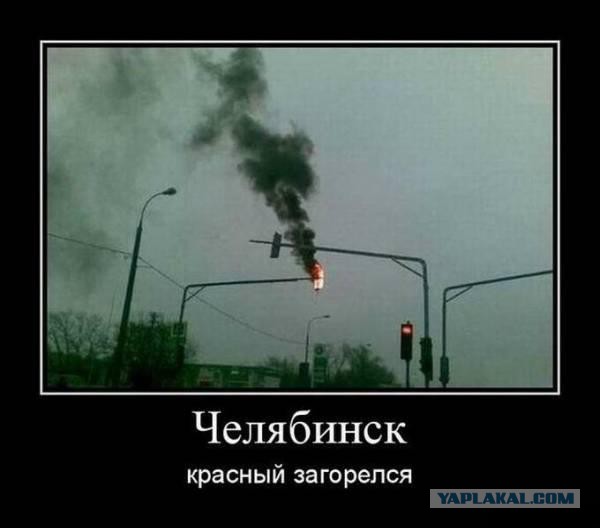 Весёлые картинки