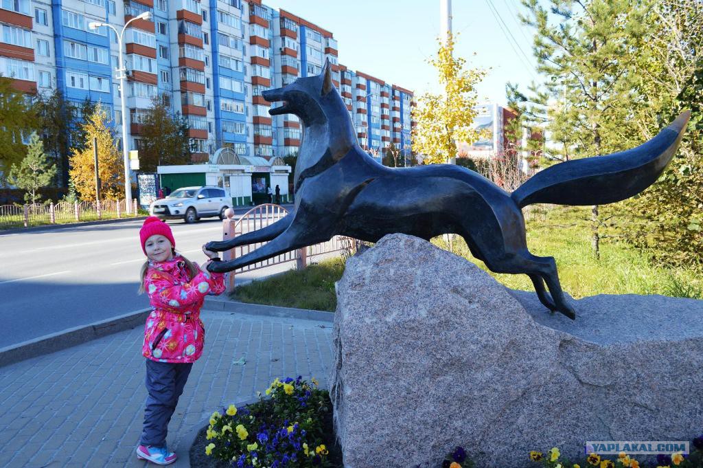 памятник черного лиса в сургуте. сургут города ханты-мансийского автономного округа - югра. столица хмао сургут. памятник лисе сургут. сургут центр города летом.