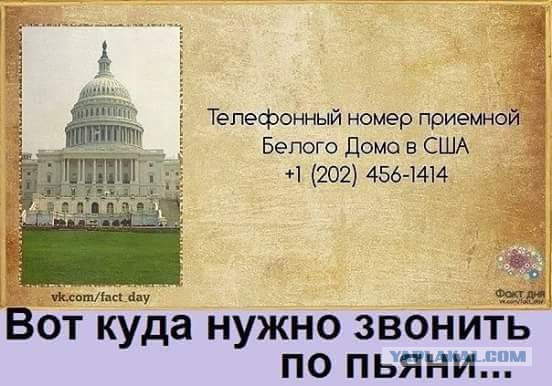 Смешные комментарии из социальных сетей 17.02.2016