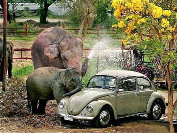 Подборка интересных и веселых картинок