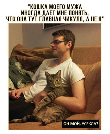 Пока нет Васька. Немного смешных коментов