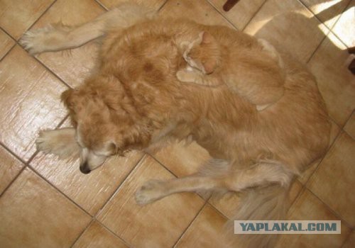 Разные по свежести картинки. Опять