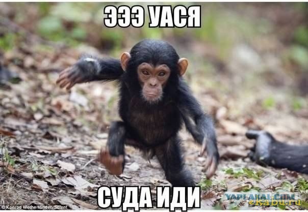 Ростовчанин в одиночку раскидал на заправке двух мужчин, подъехавших к нему для разборок на "Ладе Приора"