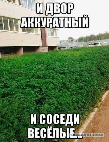 Порция идиотизма лениво на одну страницу