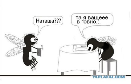 Фотожаба: веселые картинки