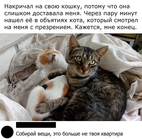 Немного картинок для настроения 27.10.20