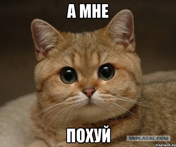 Почему у некрасивых девушек больше шансов привлечь мужчину