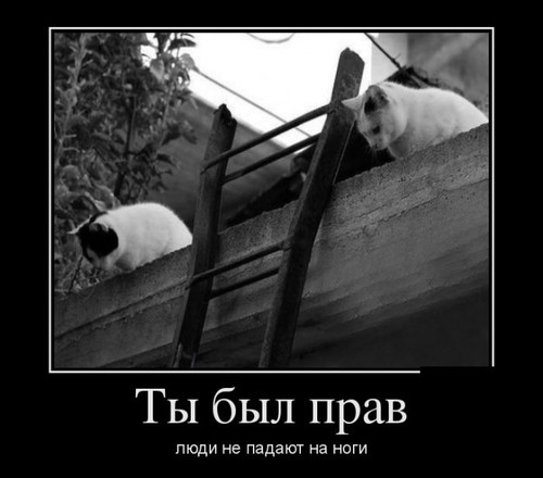 От светло серого до чёрного 5.0