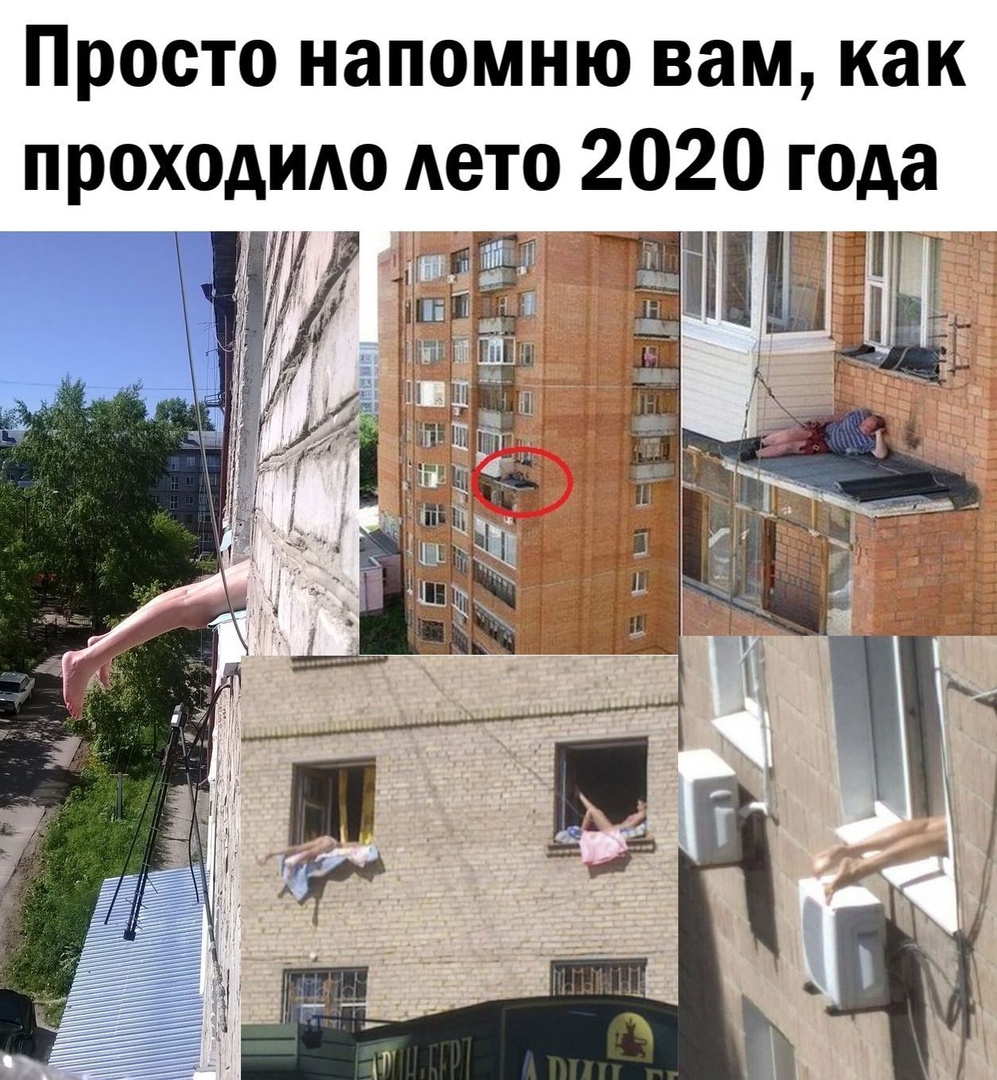 15462997.jpg