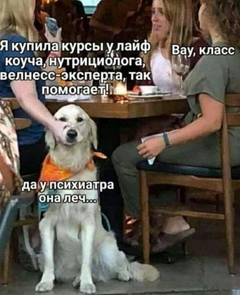 Картинки с надписями и всякие жизненные фразы
