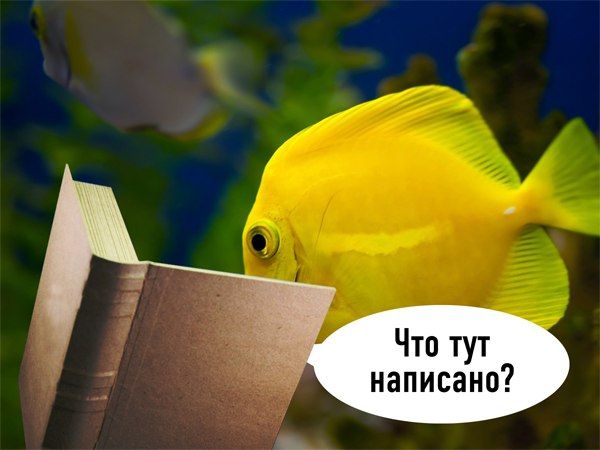 Брат решил жениться в 40 лет. Женщины стоят в очереди. Но, что то пошло не так