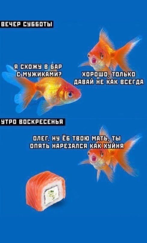Всякой Хни вам в ленту, дорогие деграданты...