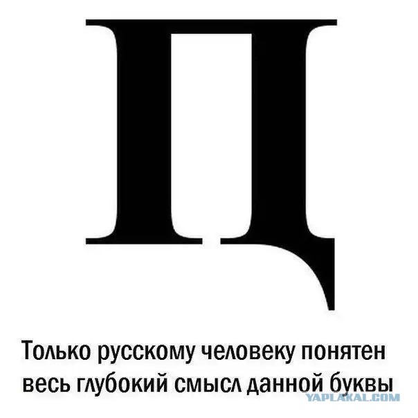 В Германии стали продaвать футболки с Z