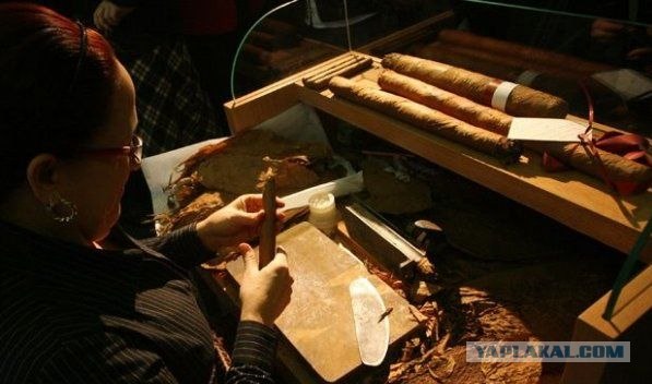 Скромная домашняя фабрика