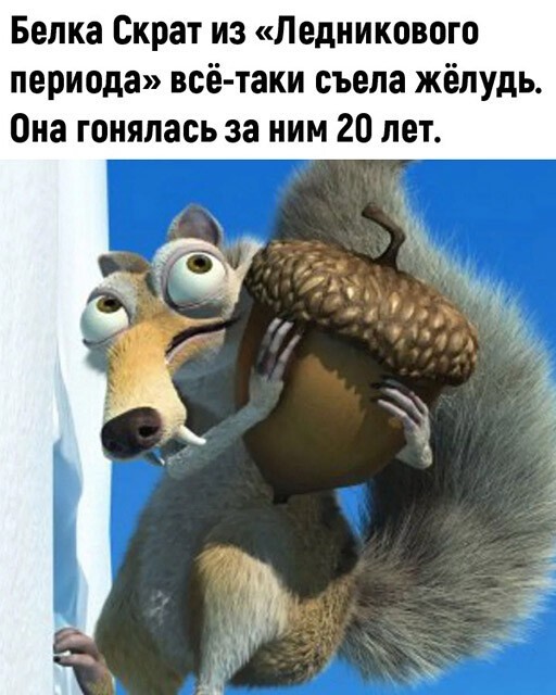 Картинки и мемы, всем хороших выходных