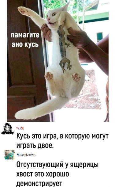 Немного картинок и прочей хреноты Vol. 17