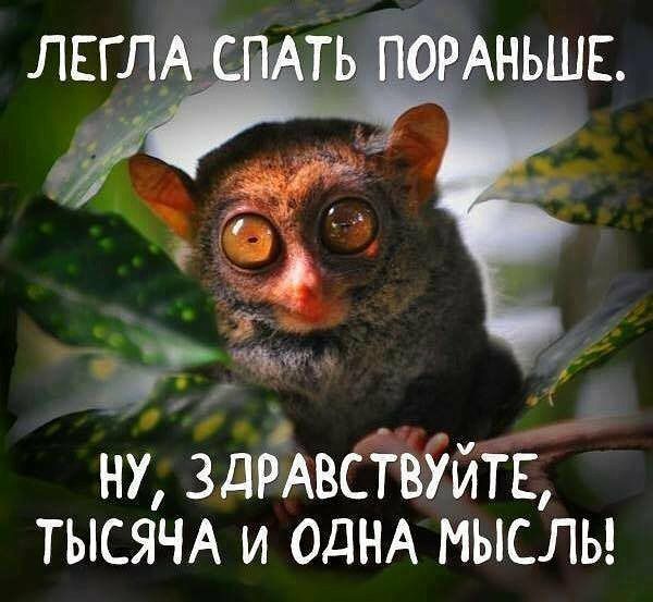 Немного картинок для настроения - 112