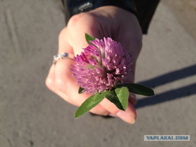 Москва-Воркута.Или туда и обратно.