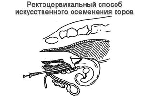 Вы не поверите, но... это мама троих детей из Финляндии