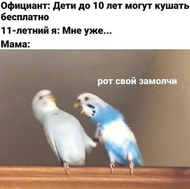 Нуштош 22.03.2023