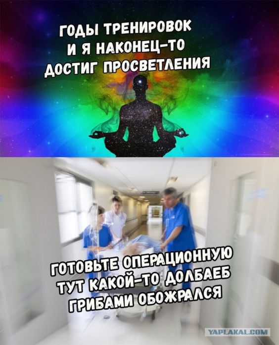 Прикольные и просто красивые картинки 23.05.2023