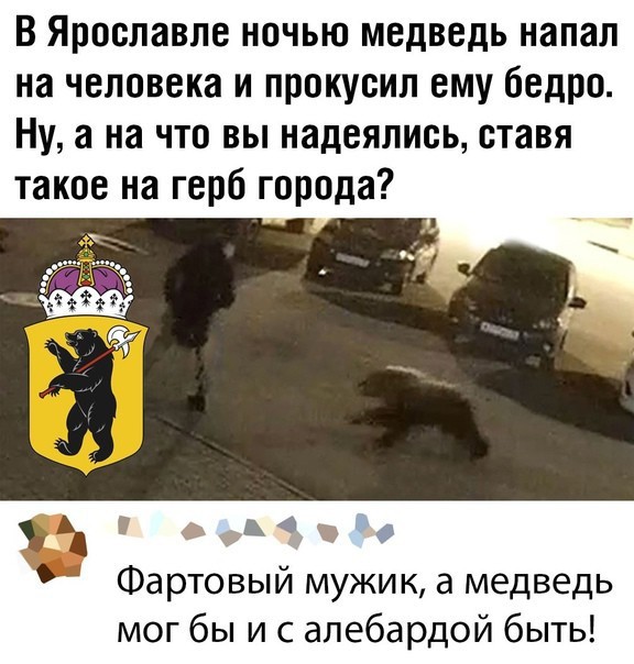 Хочешь утром вылезти из палатки, а там... медведь