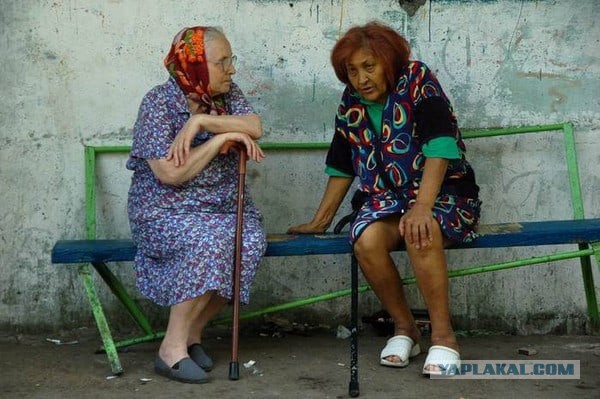 «Внимание! Здесь живёт старая шалава. Если увидите её — дайте по е**лу»