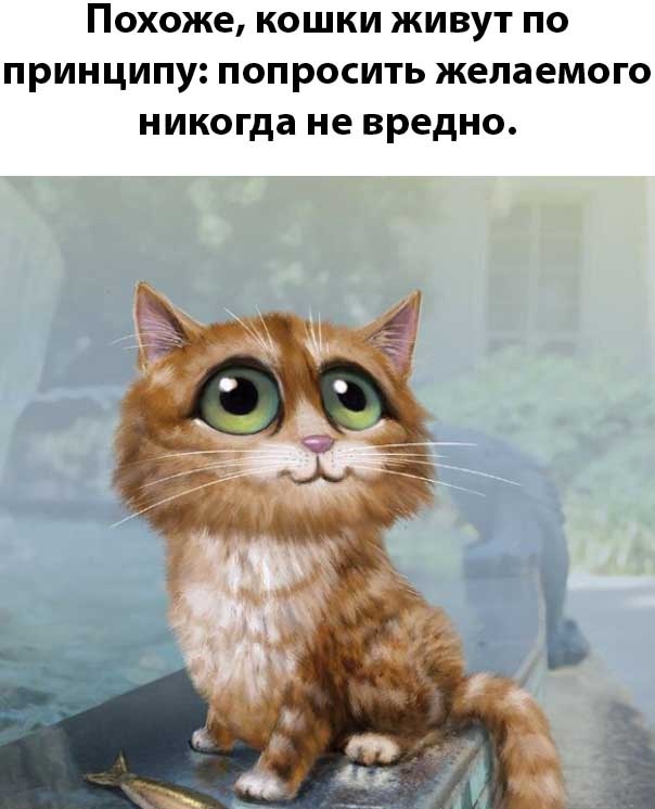 Так себе картинки 28.11.24