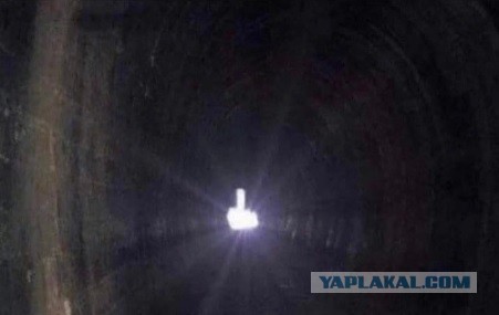 Сознание предложено считать физической частью Вселенной⁠