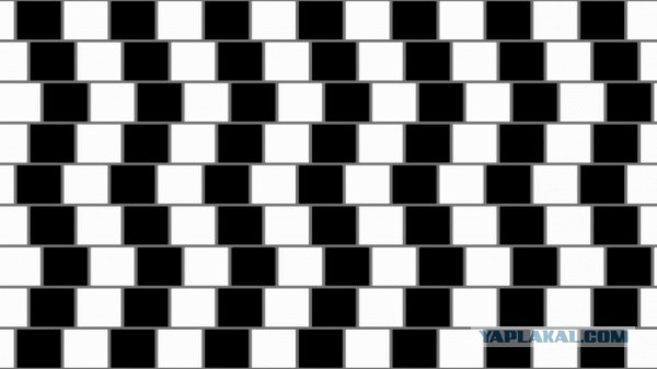 10 иллюзий, которые взорвут ваш мозг