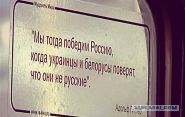 Что ты несешь!