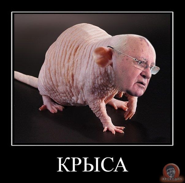 Проникся фотографией Дж.Керри. замутил коллаж