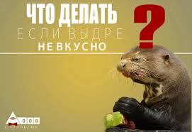 "Все мужики – сво...": идеальная философия