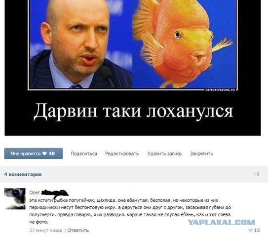 А ты проверил результаты победы Порошенко?