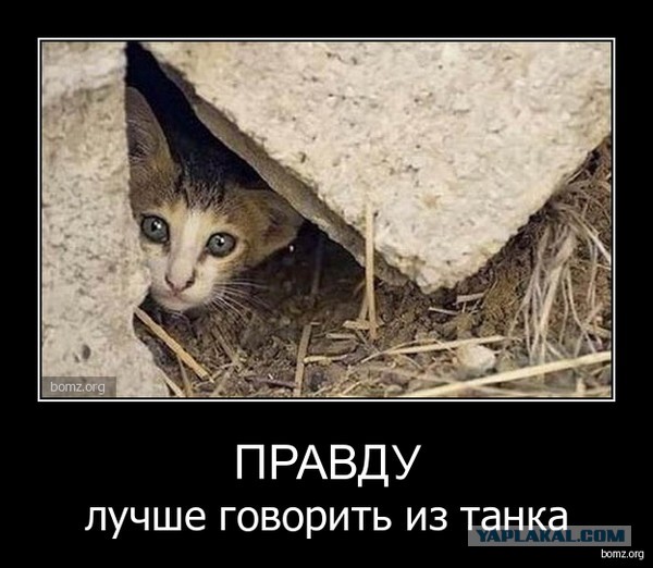 Улыбнуло часть "2"