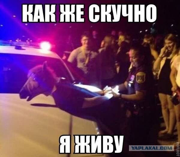18+ Самый страшный минет в моей жизни.