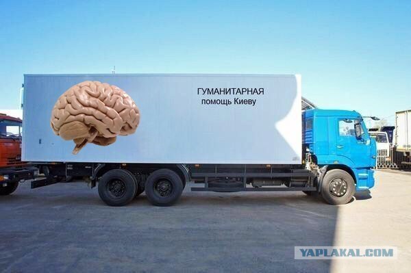 Прикольные пикчи