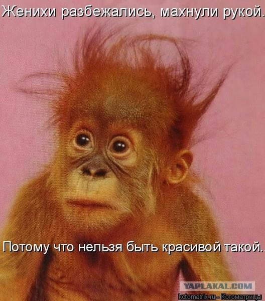 Плюсомет со шпалометом