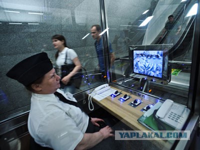 Защиту программистам!