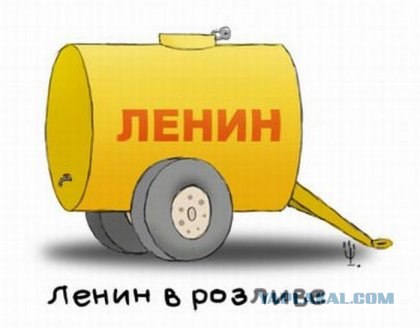 Собирал грибы в лису