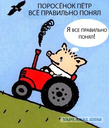 Макаревич бежит из страны