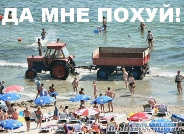 Веселые картинки